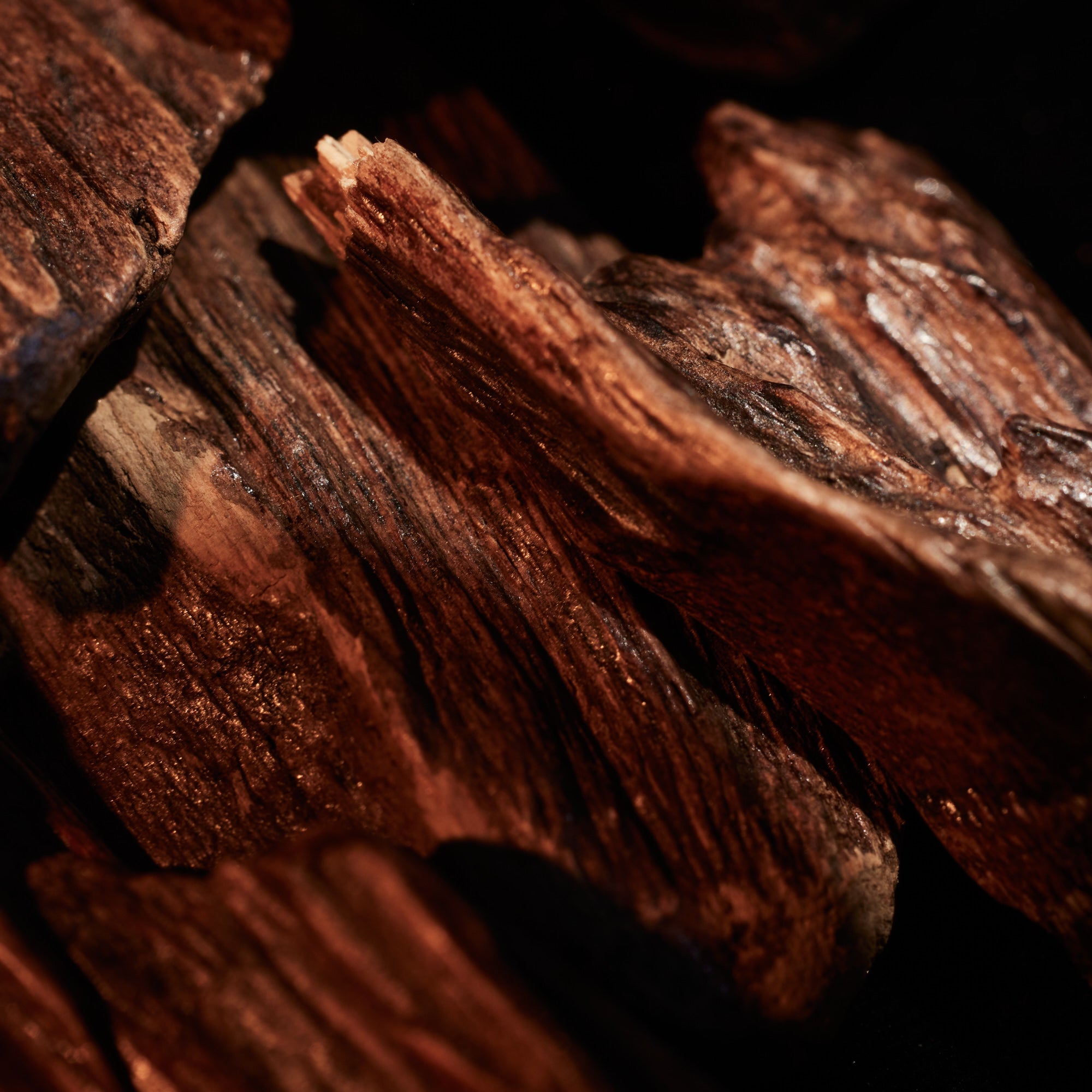 Oudgasm Smoky Oud | 07 - Luxurious Oud Perfume | KAYALI – KAYALI US
