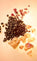 Freedom Musk Latte | 41