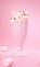 YUM Boujee Marshmallow | 81 Cashmere Kiss