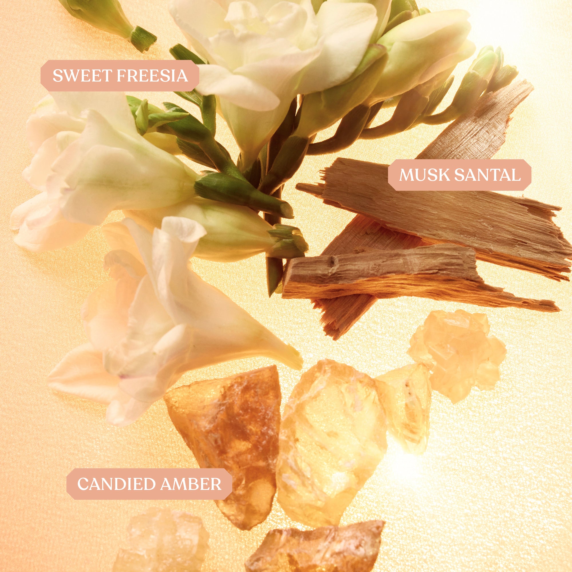 KAYALI Freedom Musk Santal | 34 - Warm & Velvety Perfume – KAYALI US