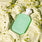 Yum Pistachio Gelato | 33 Duo