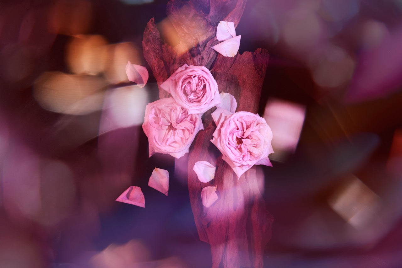 KAYALI Oudgasm Rose Oud | 16 Bakhoor - Luxurious Oud Fragrance